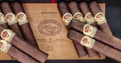 Puros Padrón: historia y líneas esenciales